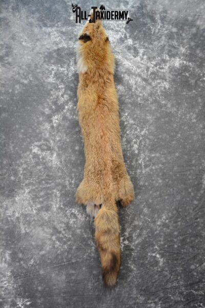 Red Fox Hide Pelt taxidermy for sale SKU 1105