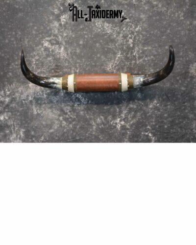 Longhorn bull taxidermy for sale SKU 1135