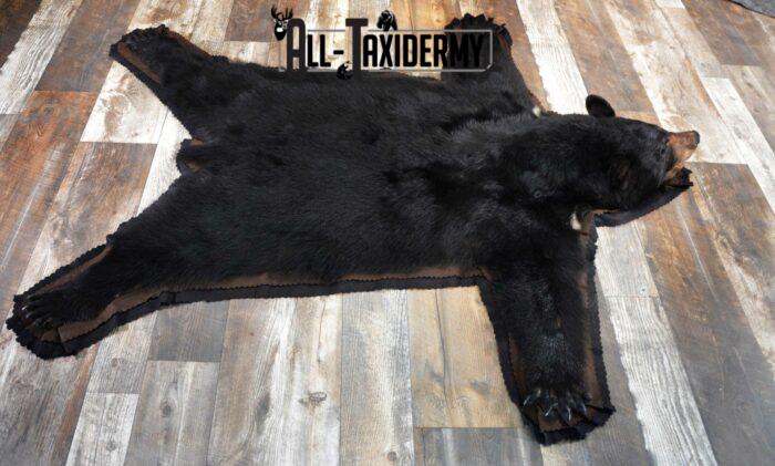 black bear skin rug