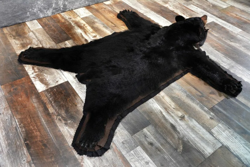 Real Black Bear Soft Taxidermy Hide Pelt Fur -  Log Cabin  Decor