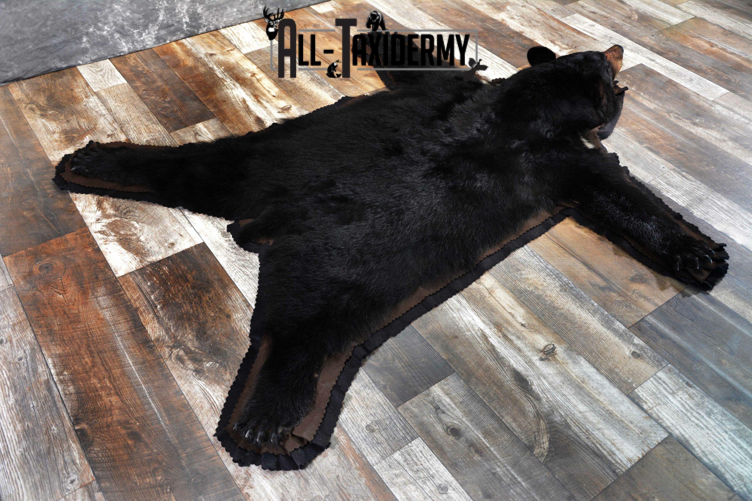 Black Bear Taxidermy Rug For Sale SKU 1110 - Image 3