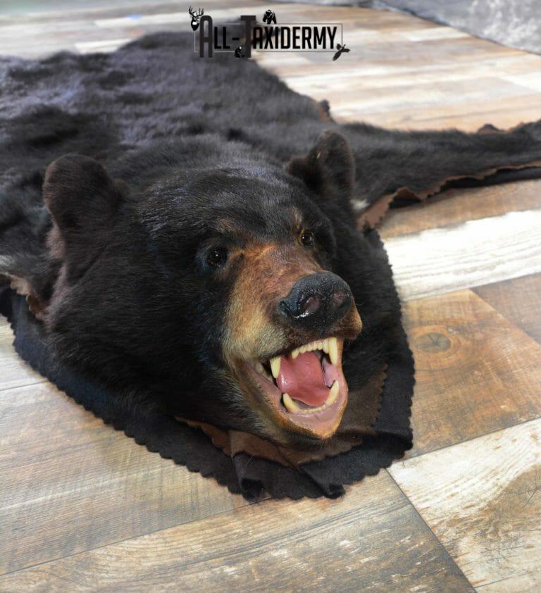 Black Bear Taxidermy Rug For Sale SKU 1110 - All Taxidermy