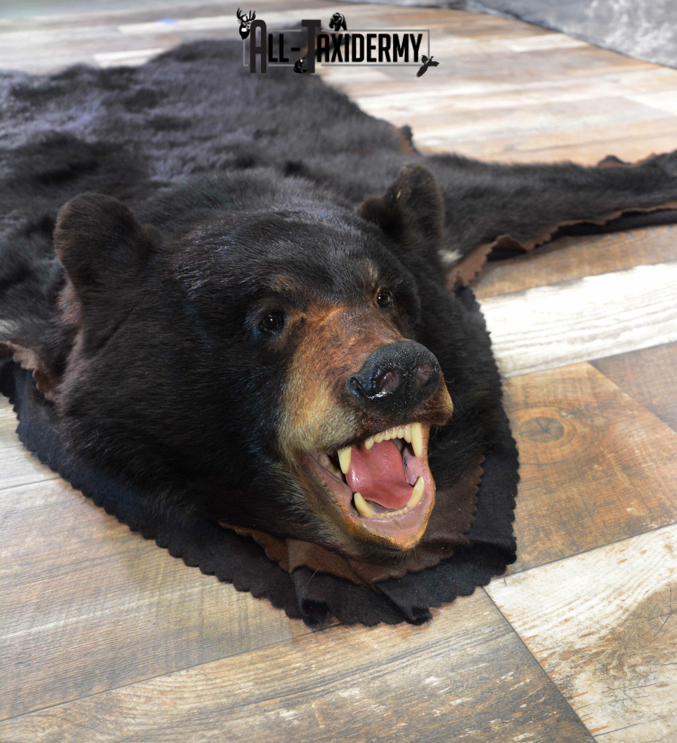 bear rug