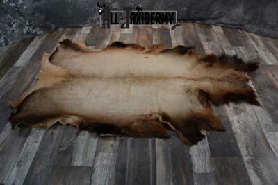 Elk hide