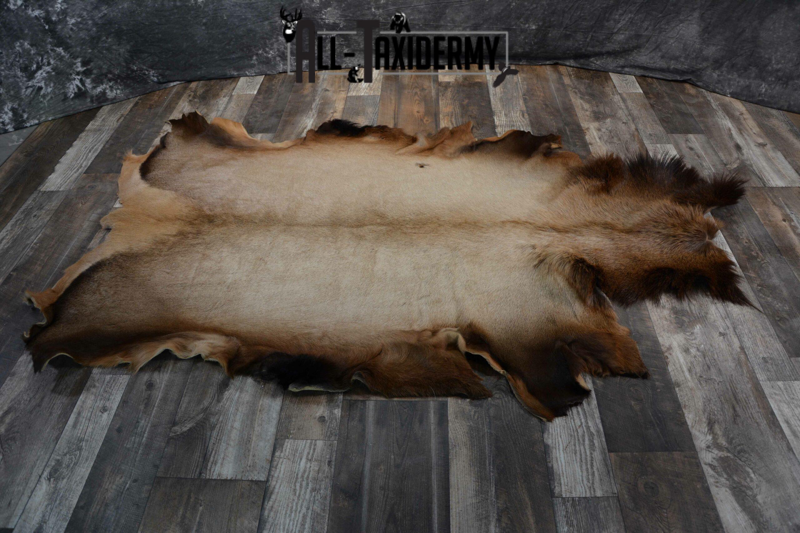 Elk hide
