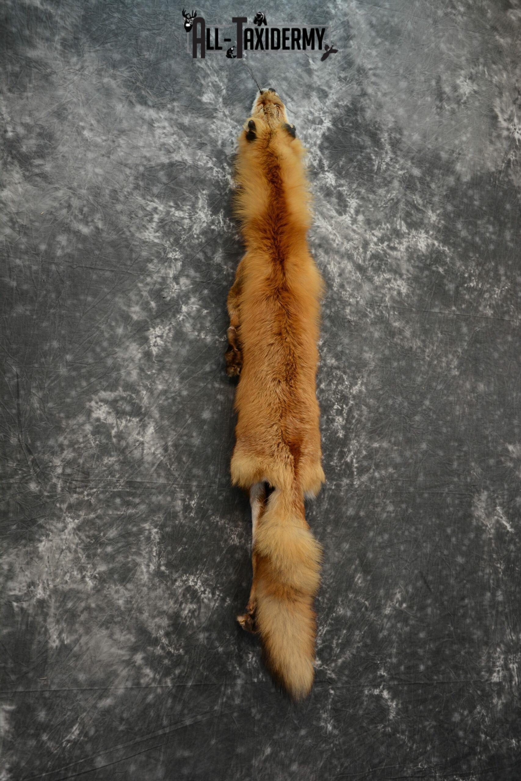 red fox hide pelt
