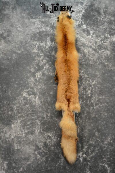 Red fox hide pelt
