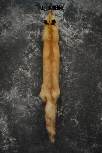 Red fox pelt hide