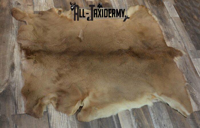 whitetail deer hide