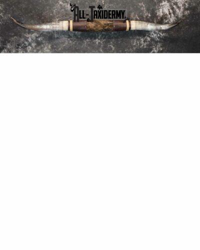 Longhorn bull taxidermy for sale SKU 1193