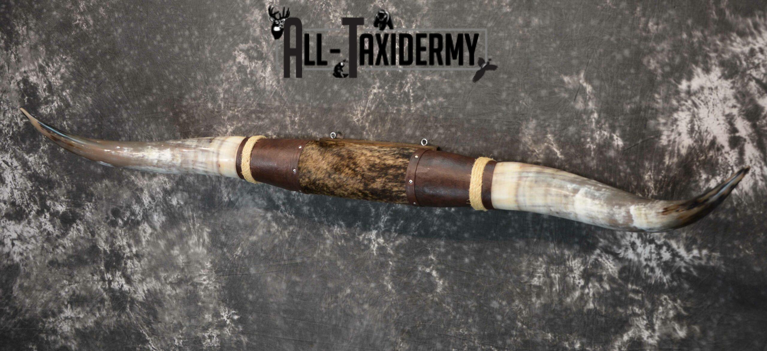 Longhorn bull taxidermy for sale SKU 1193 - Image 4