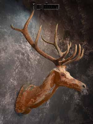 Elk décor shoulder mount SKU1014 - Image 5