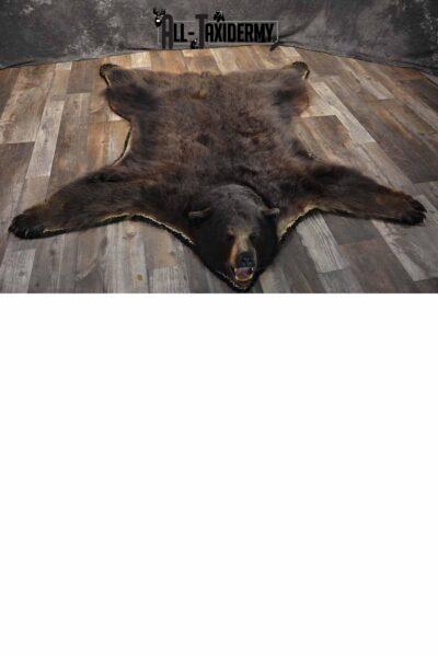 Grizzly Bear taxidermy rug for sale SKU 1250