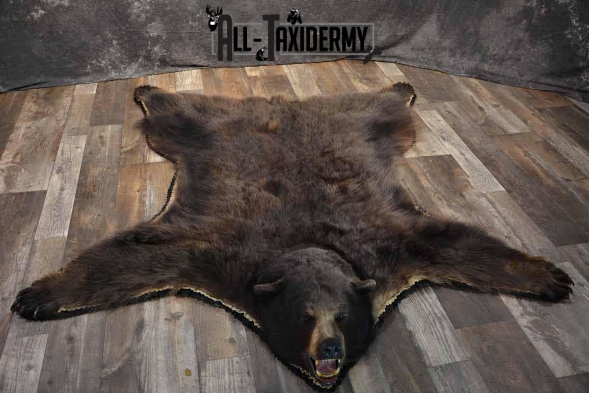 Grizzly Bear taxidermy rug for sale SKU 1250 - Image 4