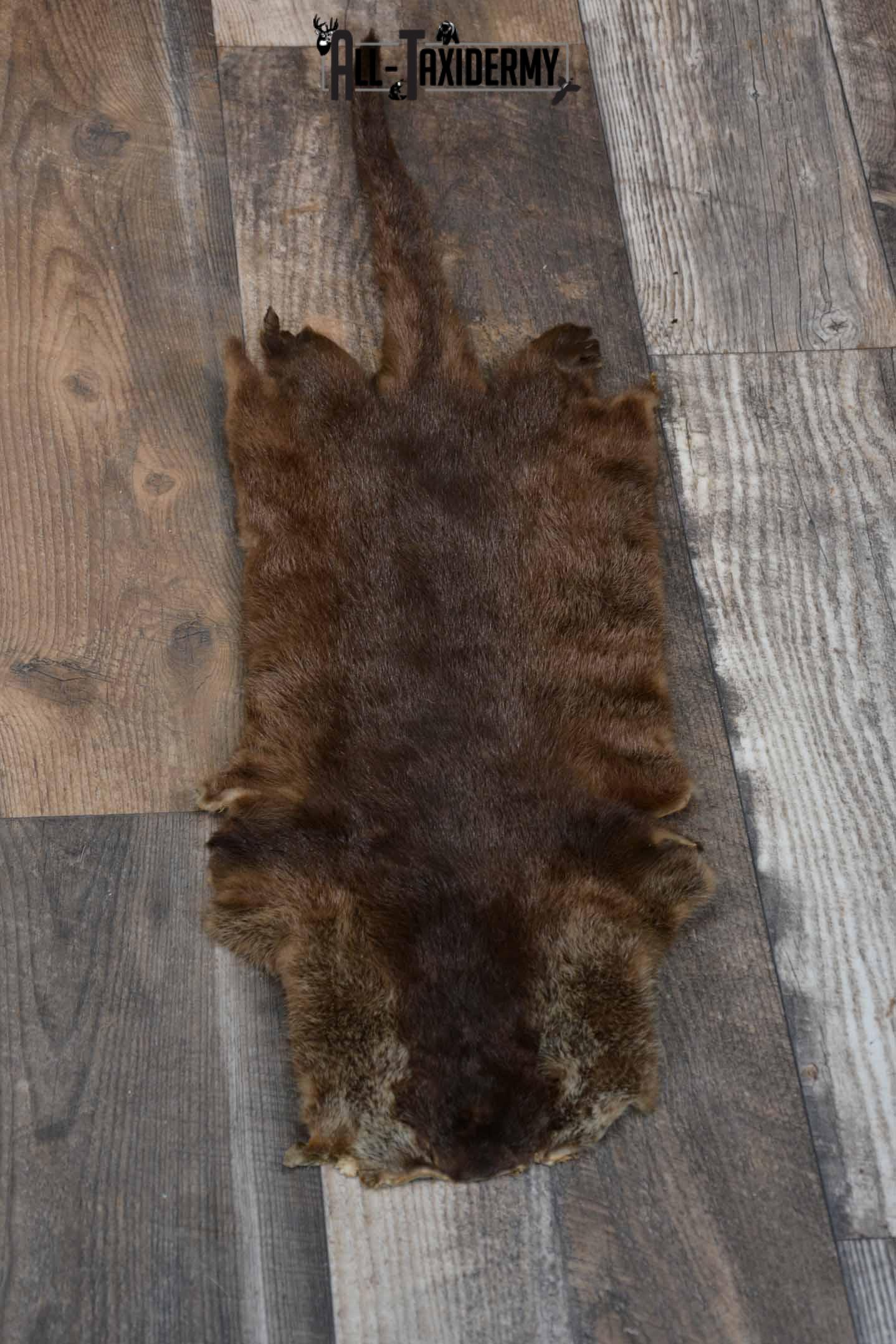 Mink hide, pelt for sale SKU 1208