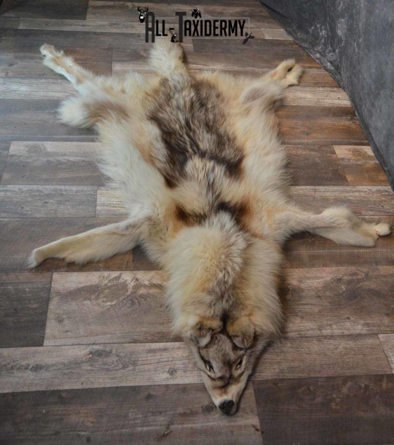 Canadian Wolf Taxidermy Hide for Sale SKU 1284 - All Taxidermy