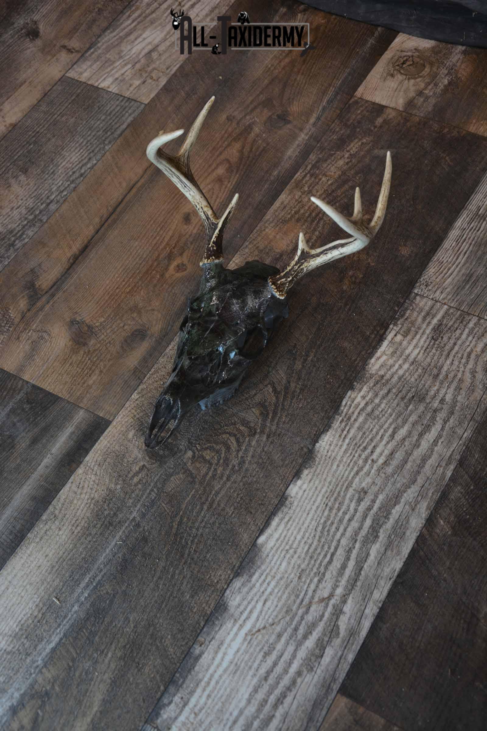 Whitetail Deer Hydro Dipped Skull SKU 1310 - Image 2