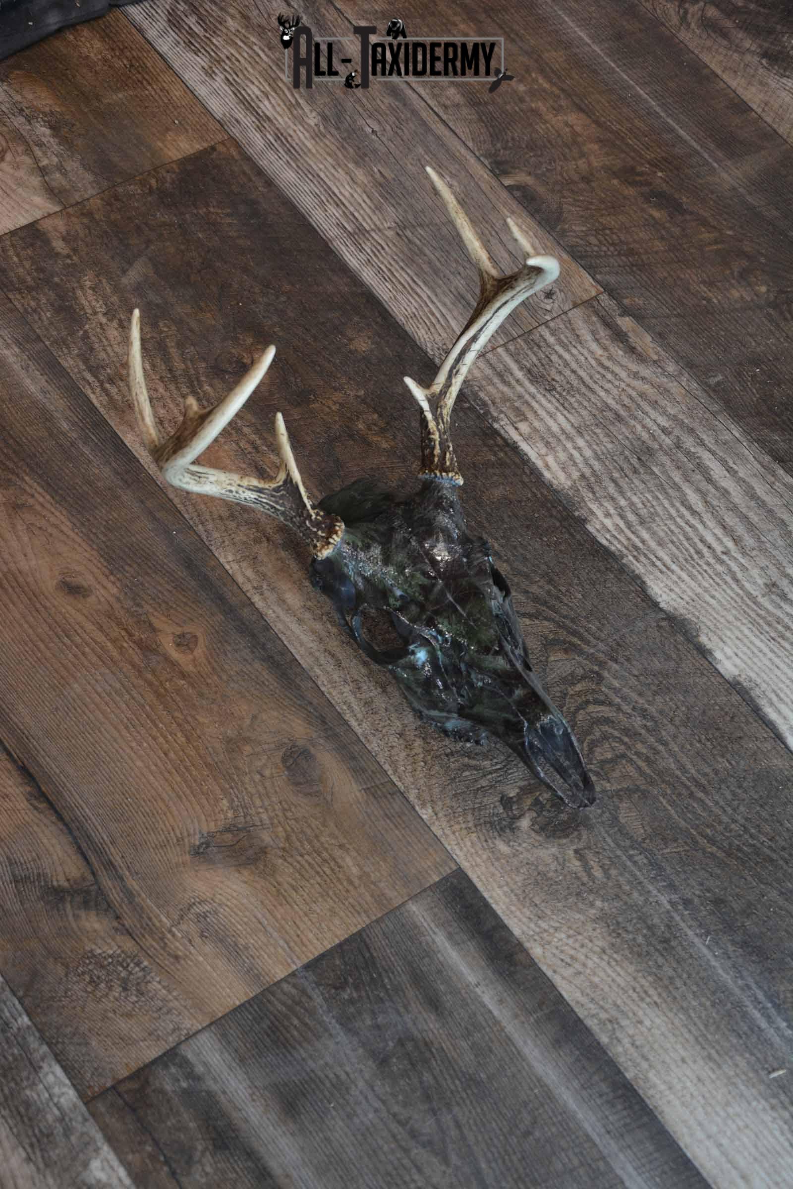 Whitetail Deer Hydro Dipped Skull SKU 1310 - Image 3