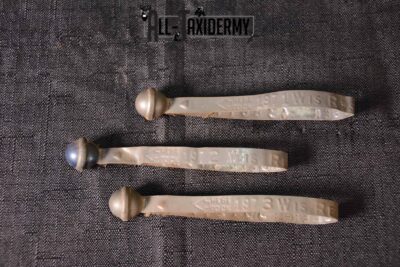 Whitetail Deer Wisconsin Harvest Tags 1971, 72, 73 SKU 1359