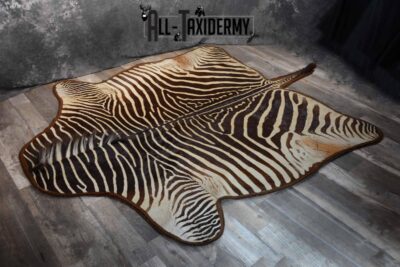 Zebra Rug Taxidermy for sale SKU 1331