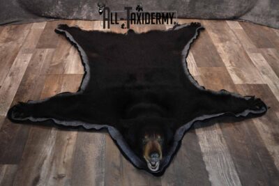 Black Bear Taxidermy rug for sale SKU 1382