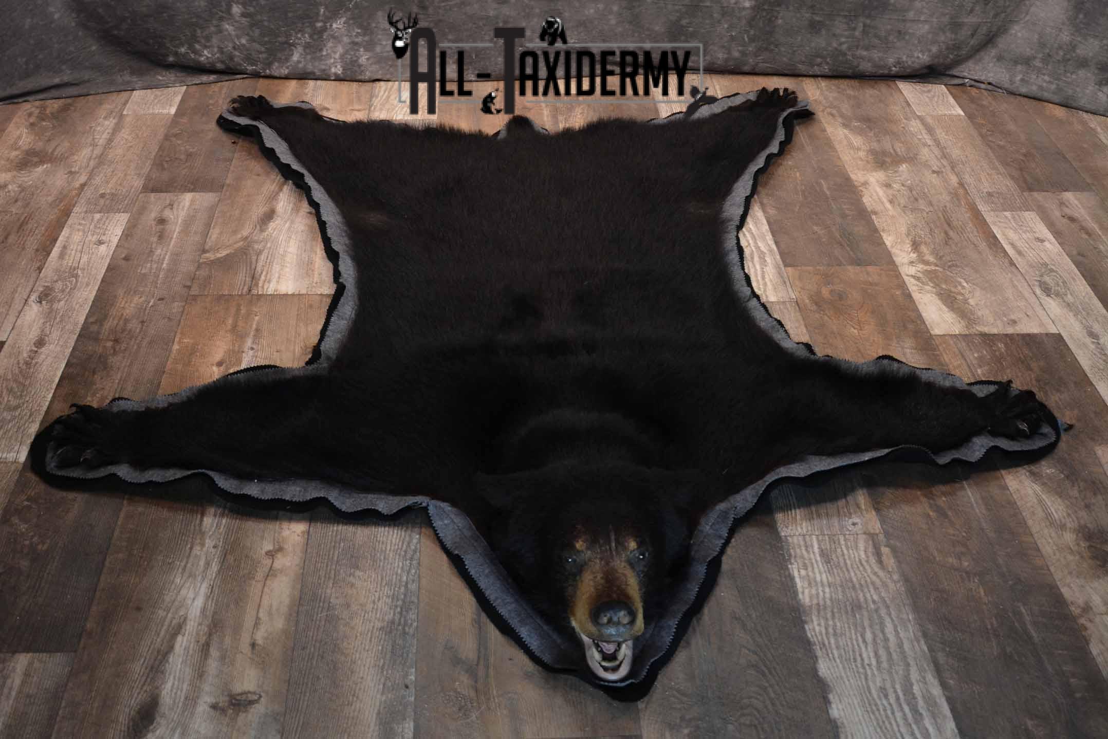 Black Bear Taxidermy rug for sale SKU 1382