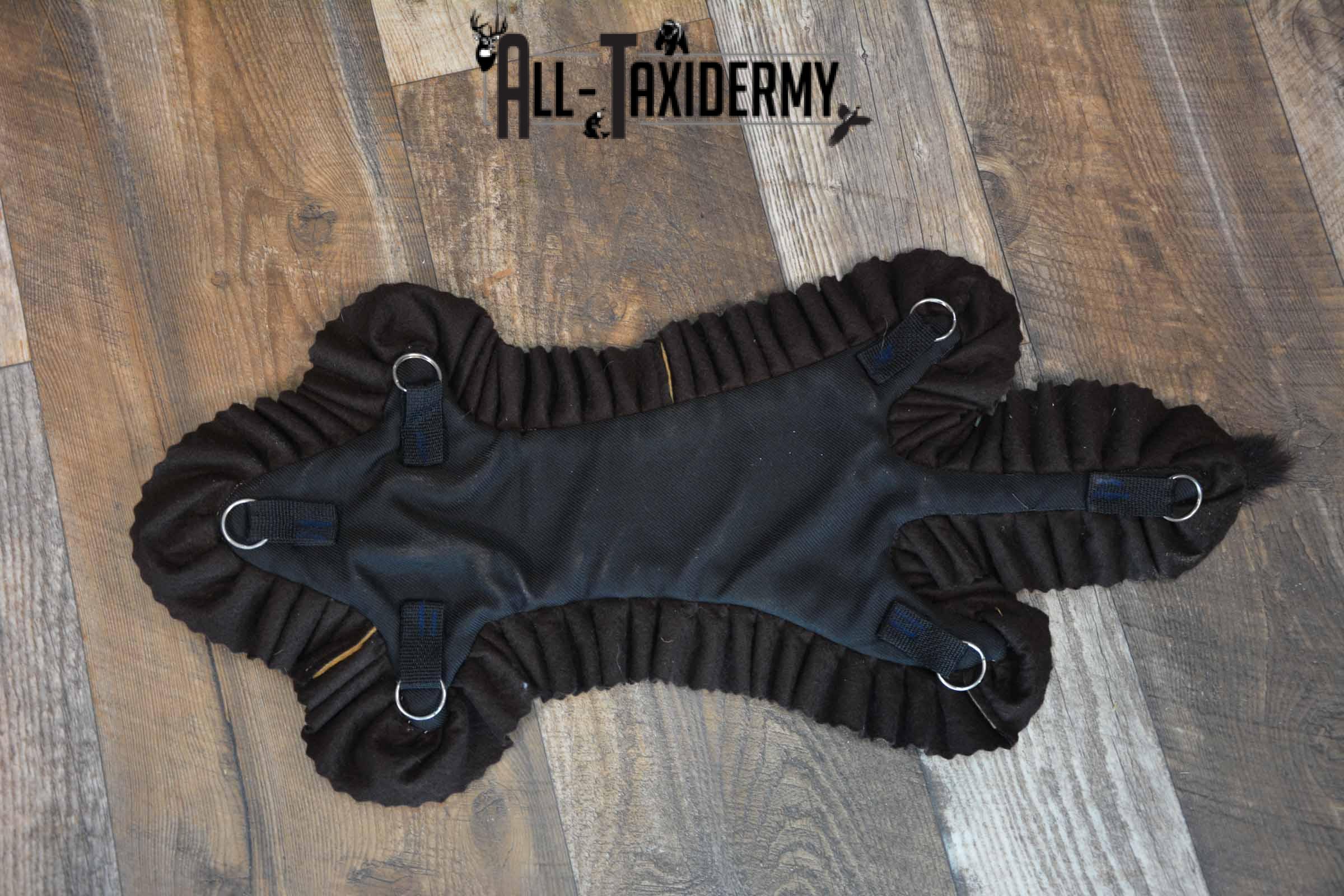 Mink Taxidermy Rug for Sale SKU 1392 - Image 4