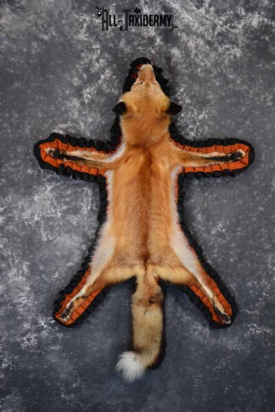 Red Fox Taxidermy Rug for Sale SKU 1387