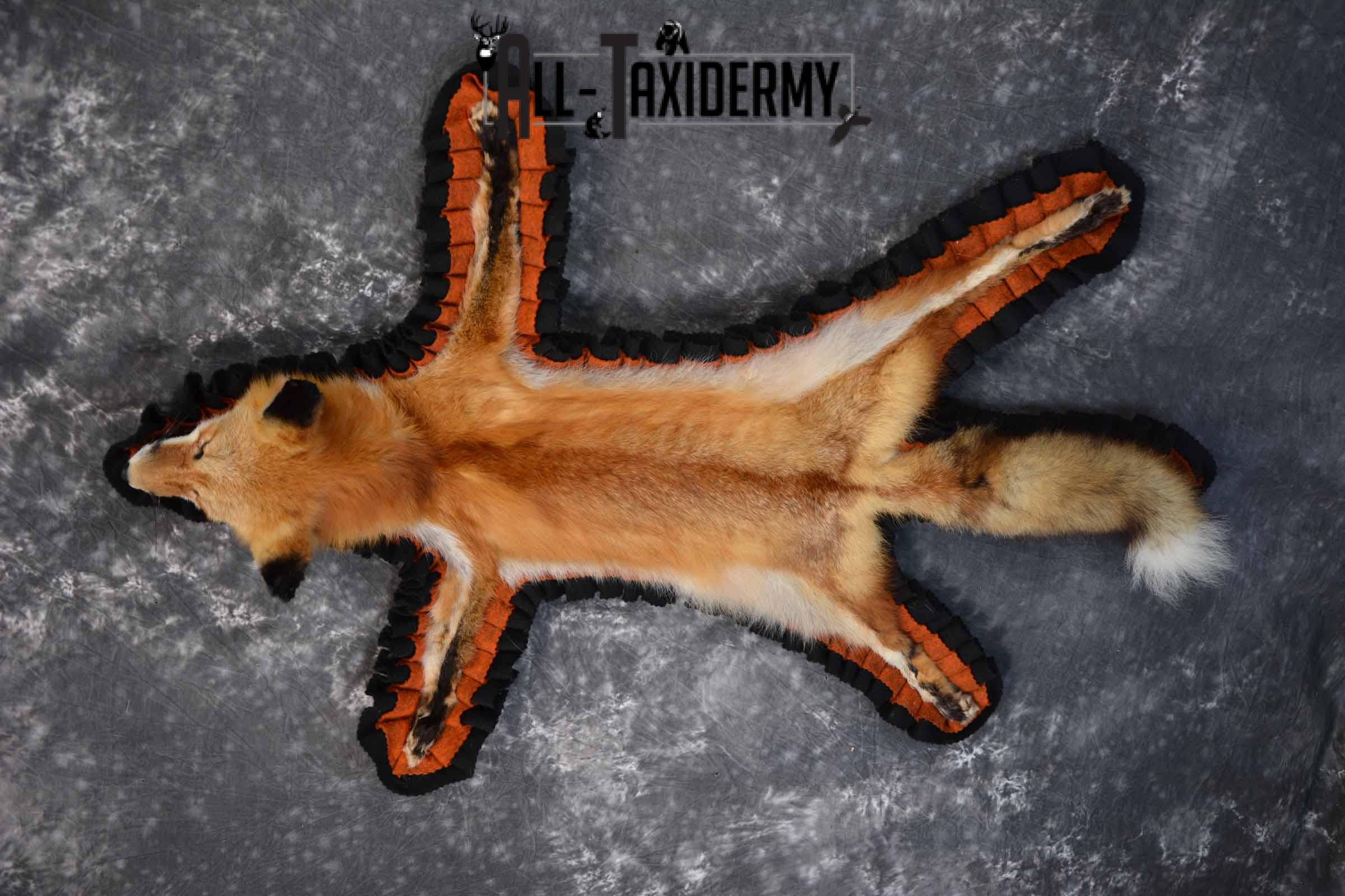 Red Fox Taxidermy Rug for Sale SKU 1387 - Image 2