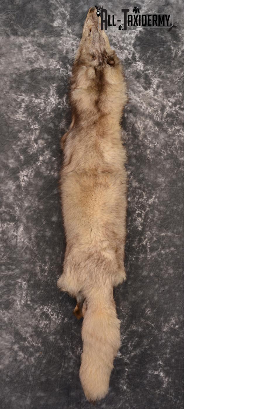 Marble Fox Hide Pelt for Sale SKU 1425