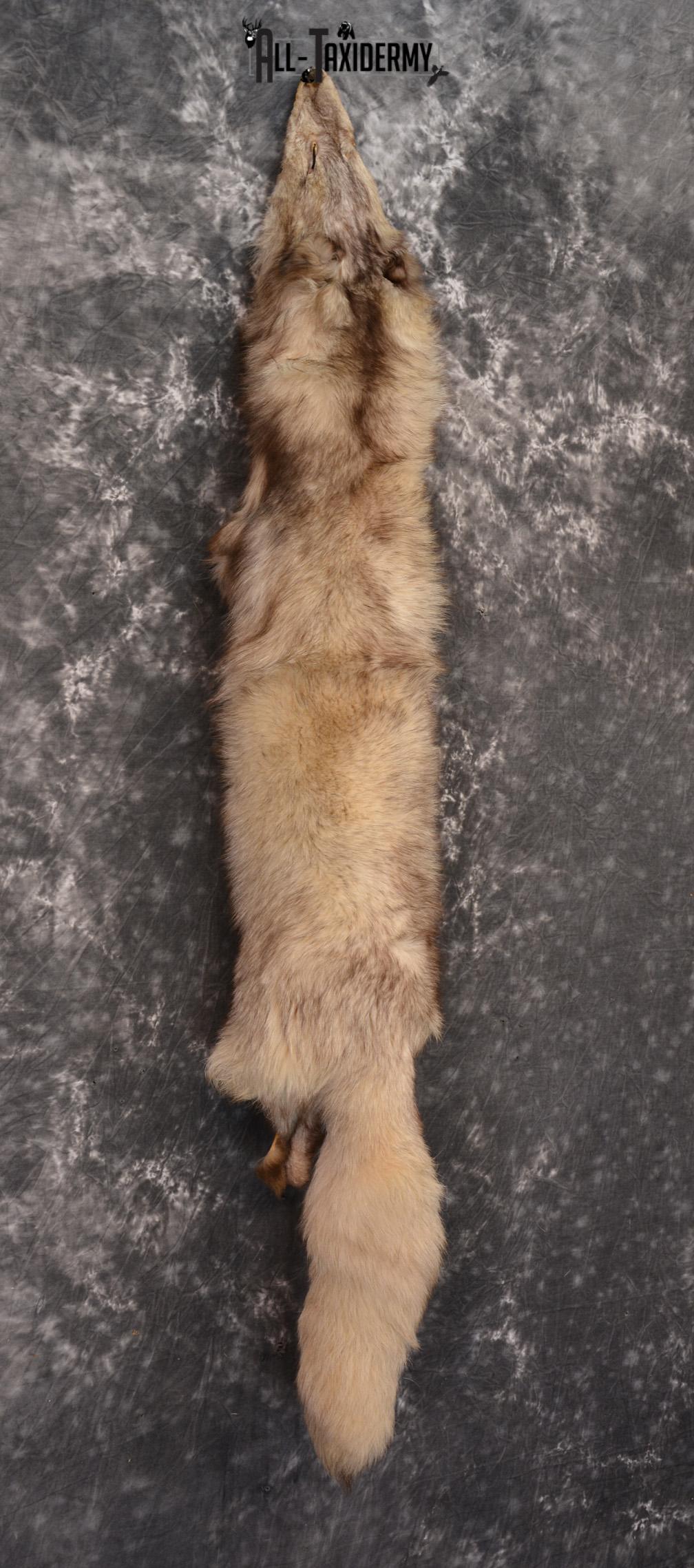 Marble Fox Hide Pelt for Sale SKU 1425 - Image 2