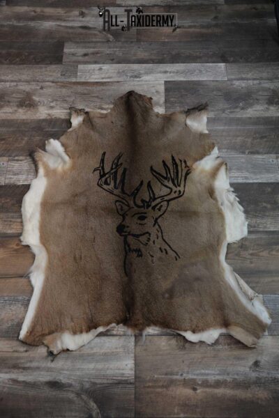 Whitetail Deer Hide with Buck Print Taxidermy for Sale SKU 1605