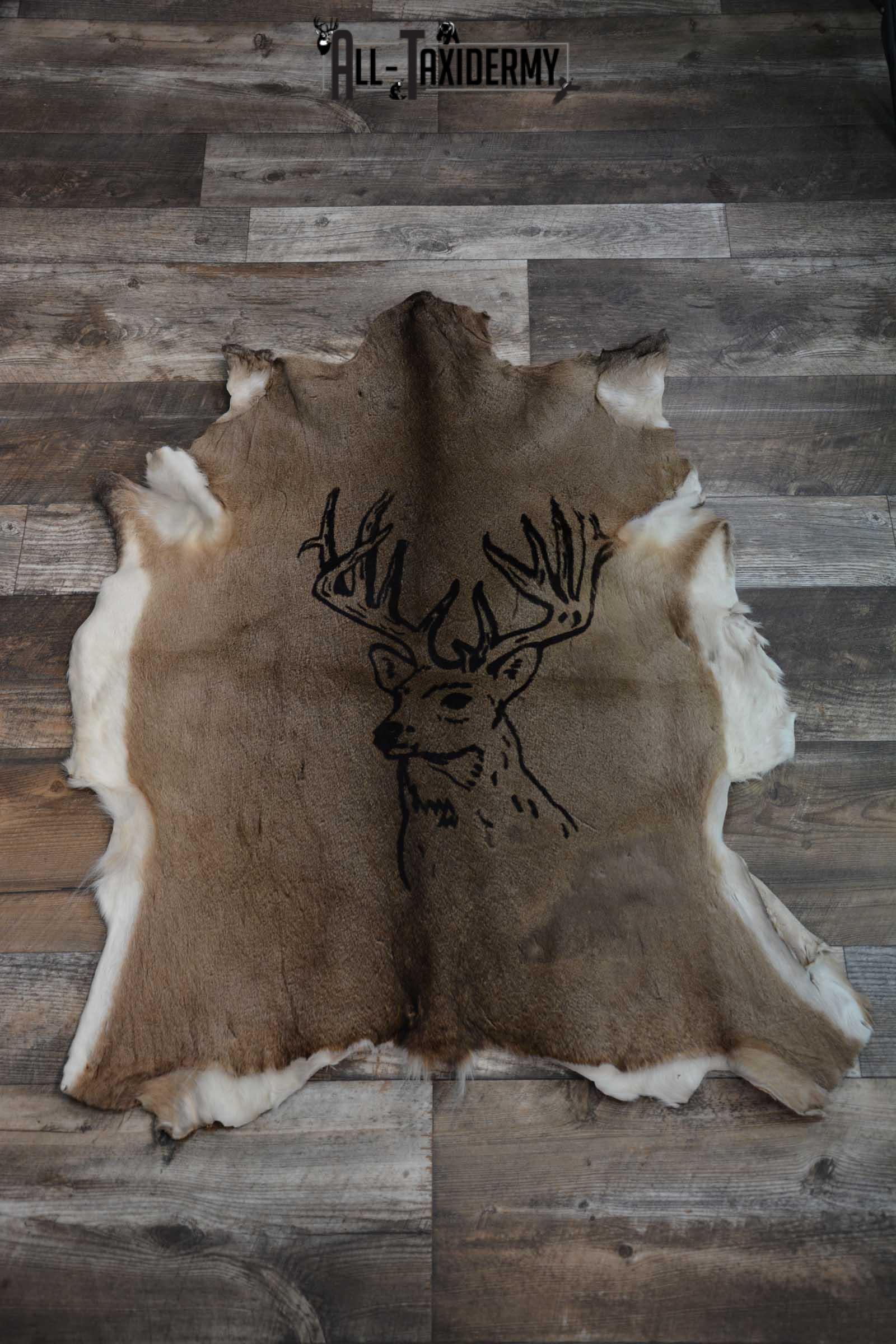 Whitetail Deer Hide with Buck Print Taxidermy for Sale SKU 1605