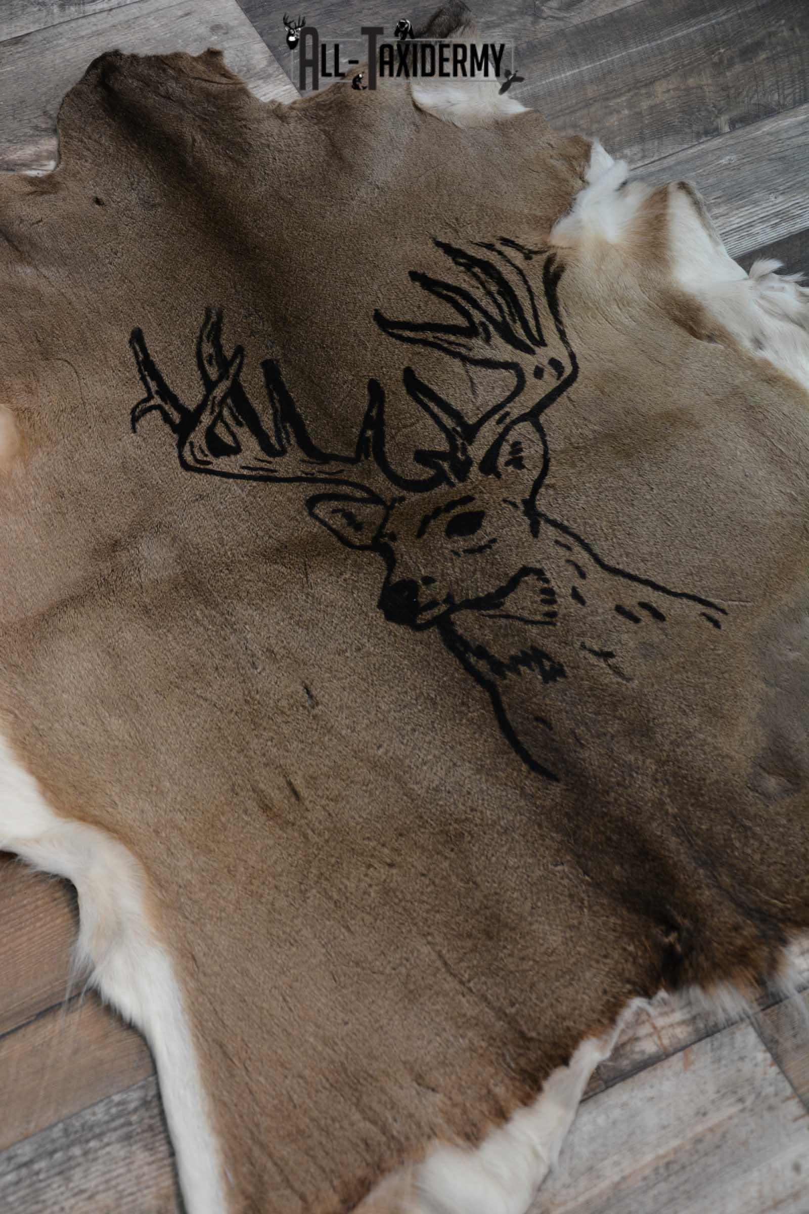 Whitetail Deer Hide with Buck Print Taxidermy for Sale SKU 1605 - Image 6