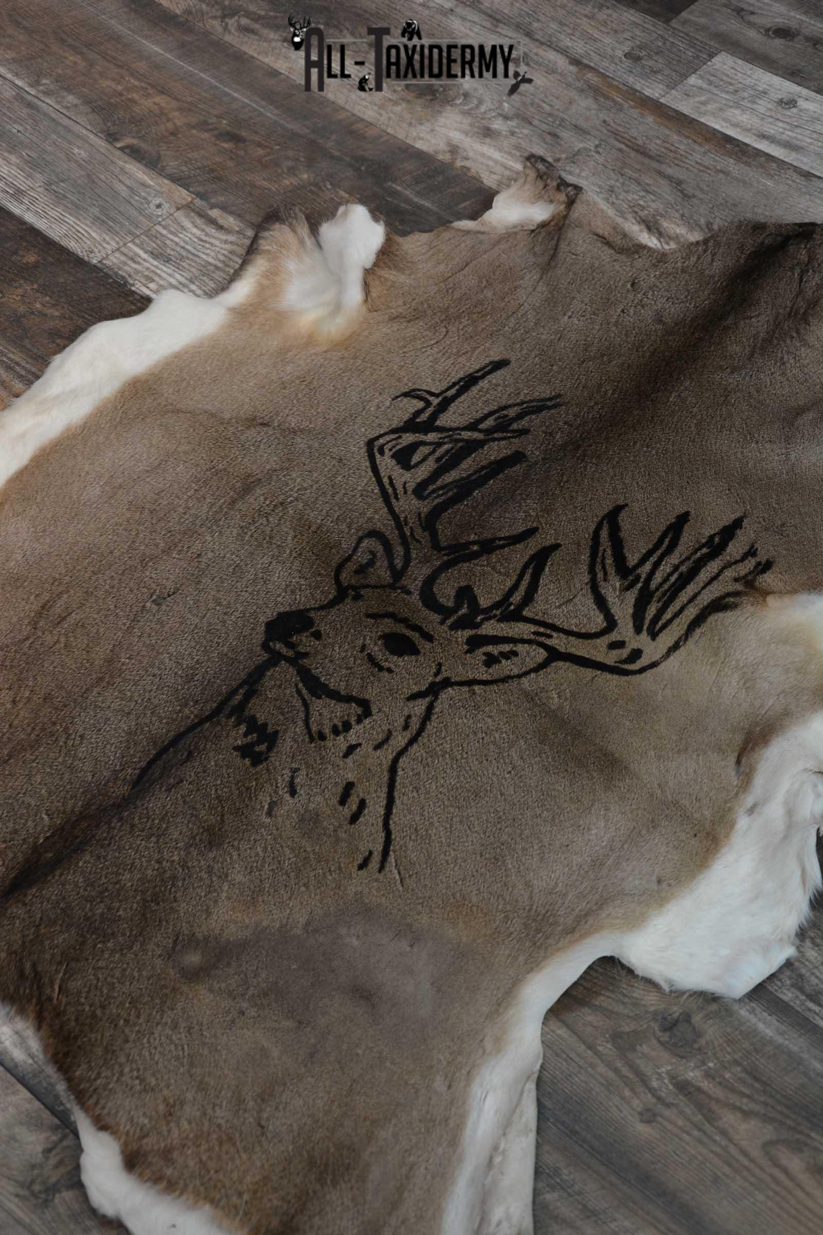 Whitetail Deer Hide with Buck Print Taxidermy for Sale SKU 1605 - Image 5