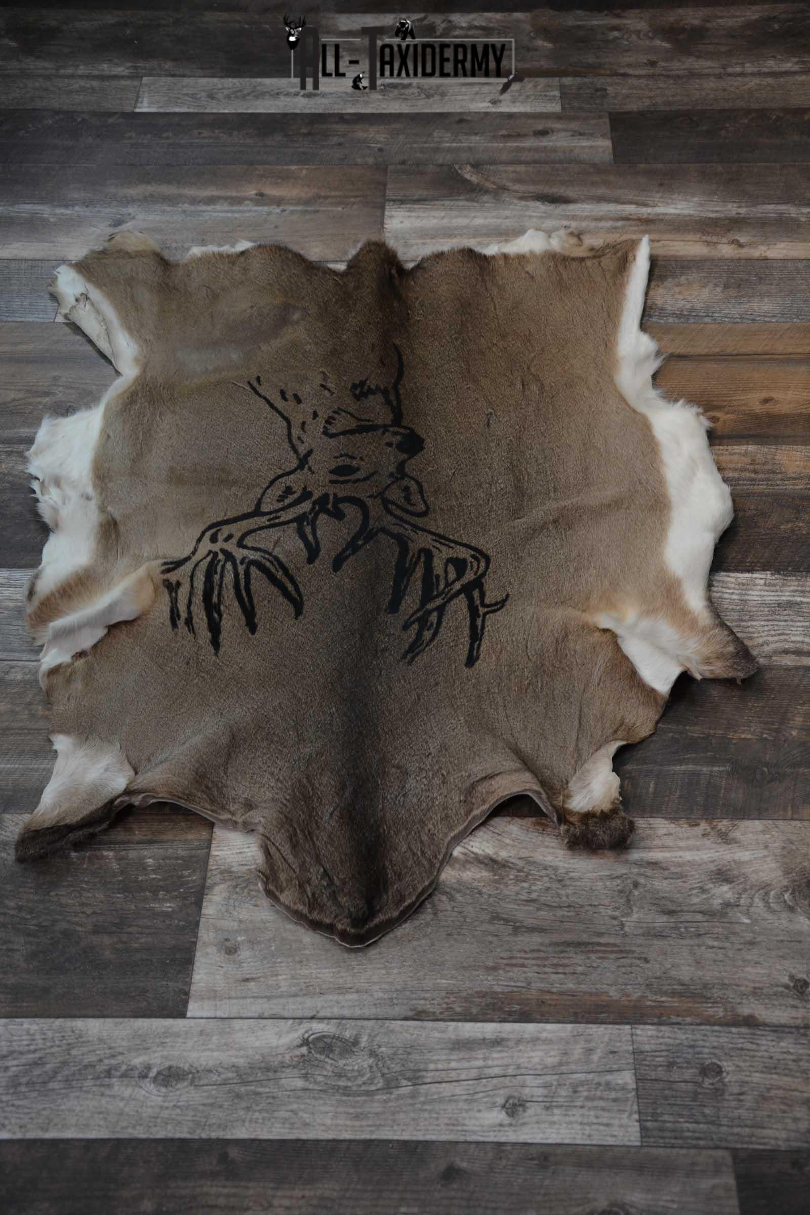 Whitetail Deer Hide with Buck Print Taxidermy for Sale SKU 1605 - Image 4