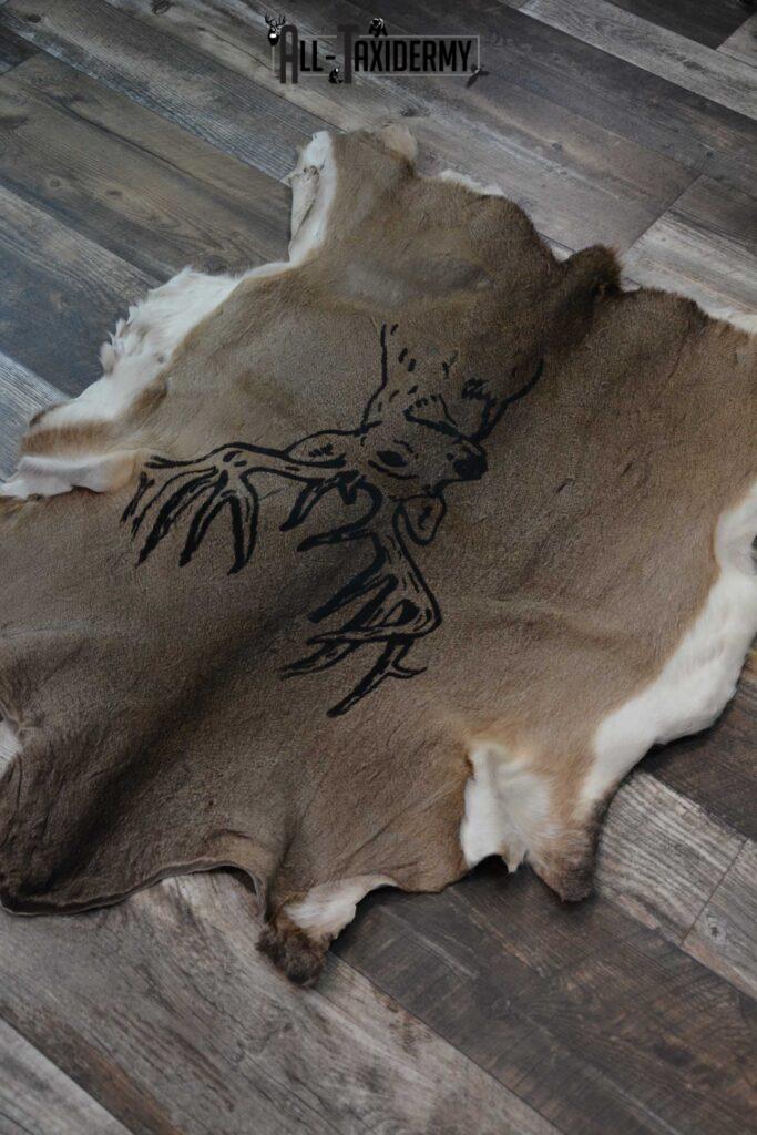 Whitetail Deer Hide with Buck Print Taxidermy for Sale SKU 1605 All