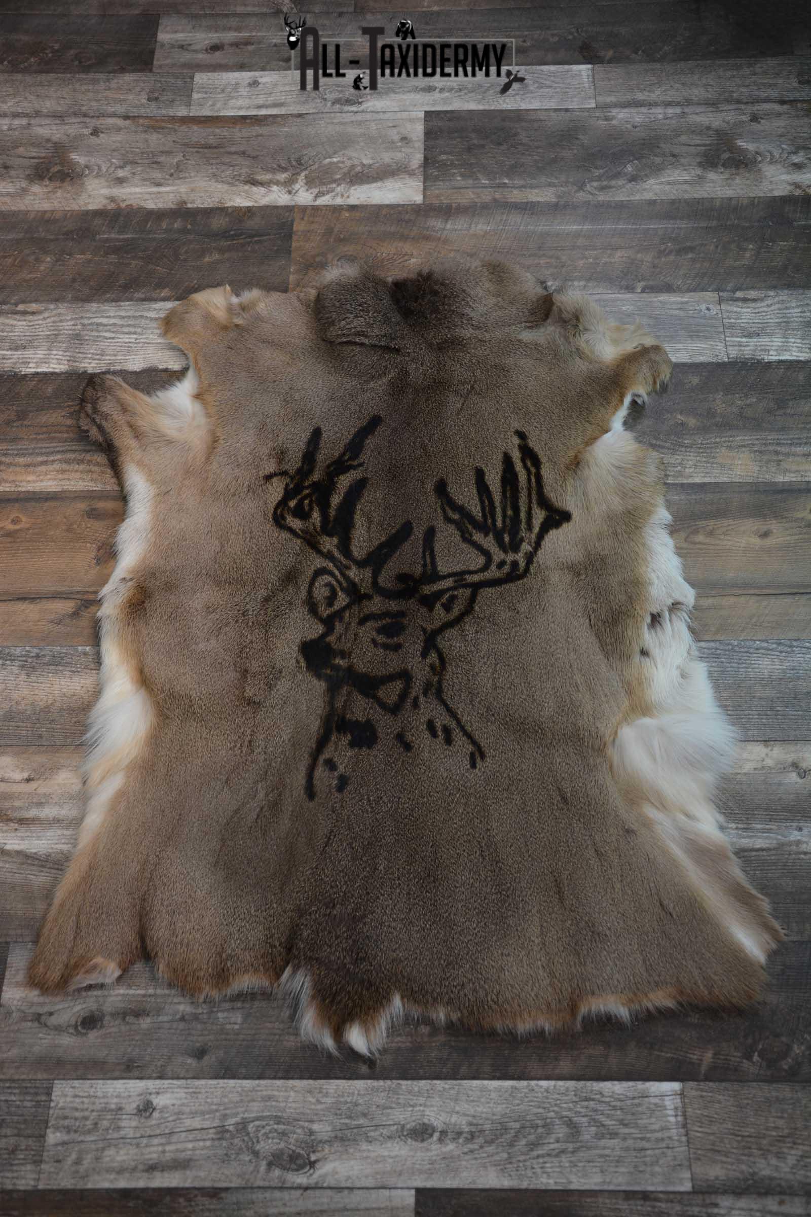 Whitetail Deer Hide with Buck Print Taxidermy SKU 1606 - All Taxidermy