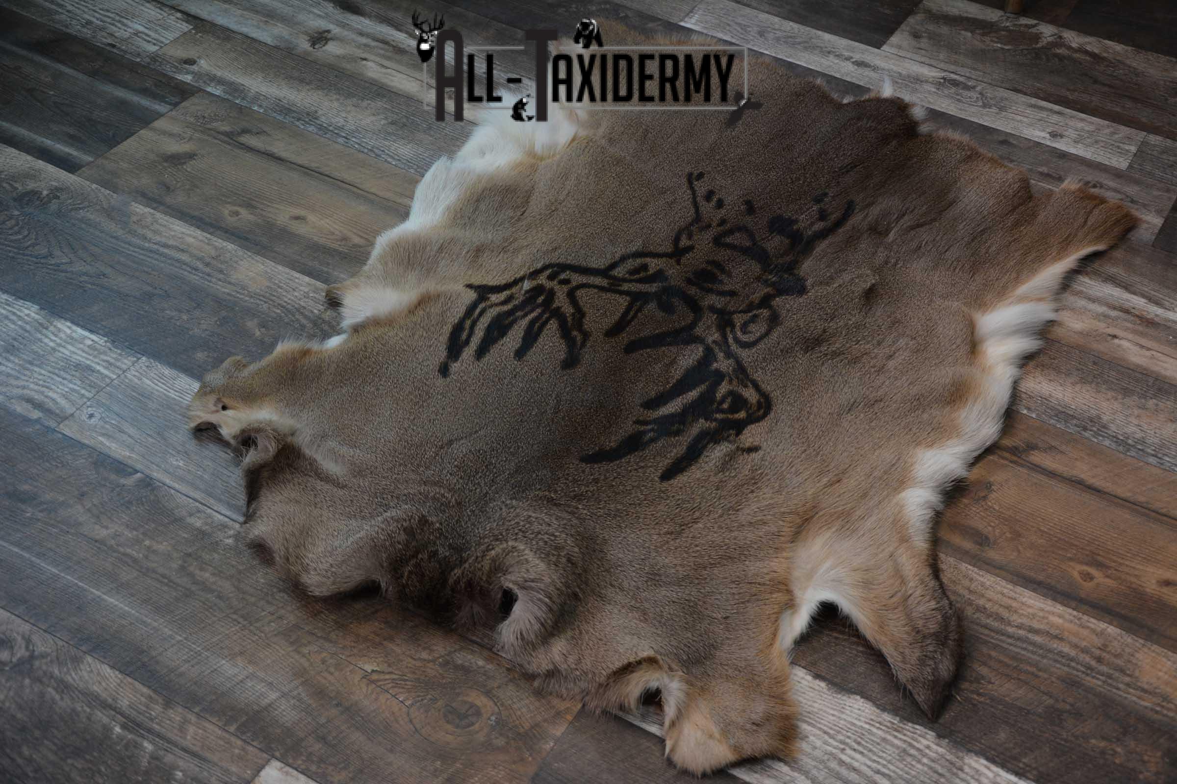 Whitetail Deer Hide with Buck Print Taxidermy SKU 1606 - Image 3