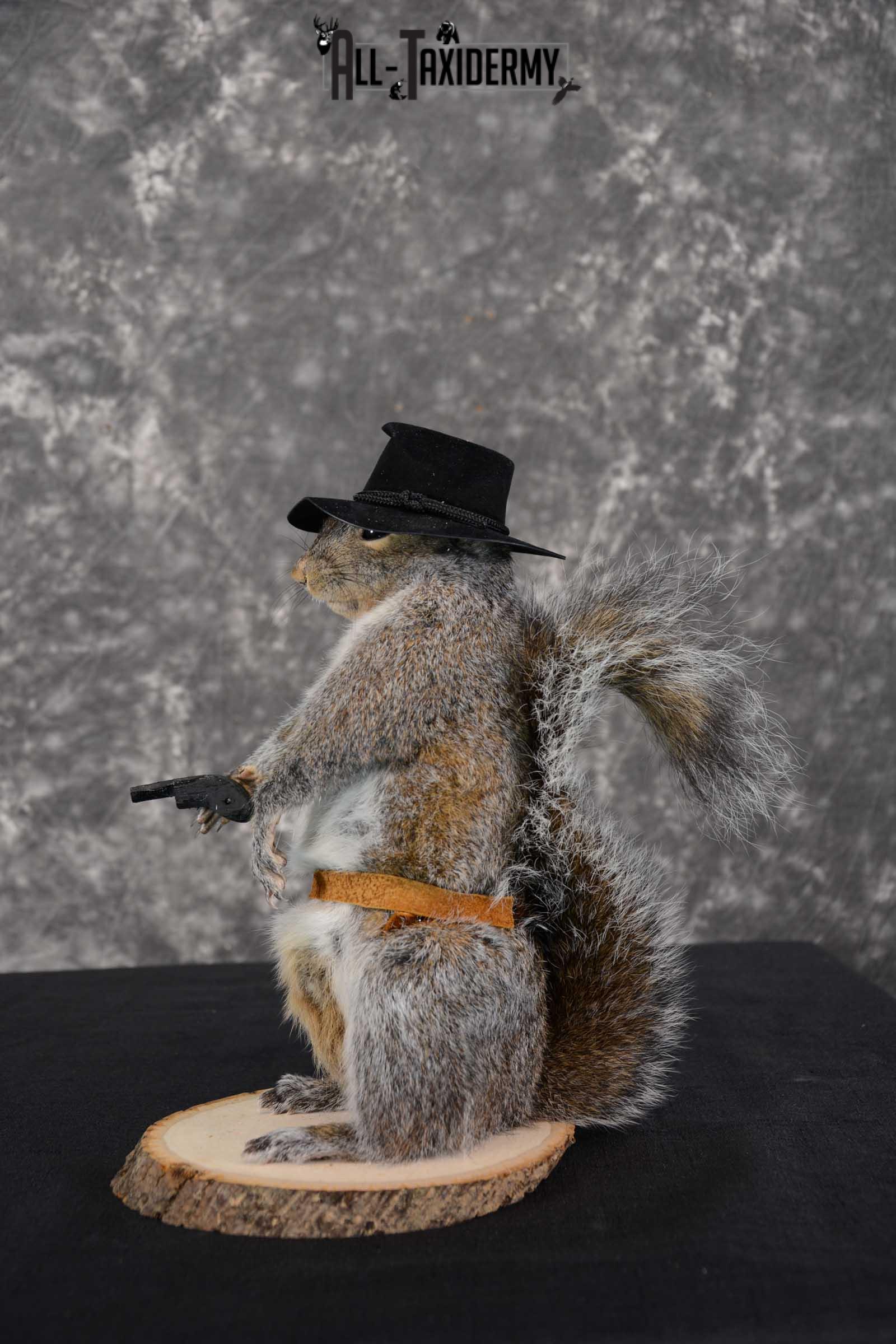 Gray Squirrel taxidermy cowboy novelty for sale SKU 1633 - Image 3