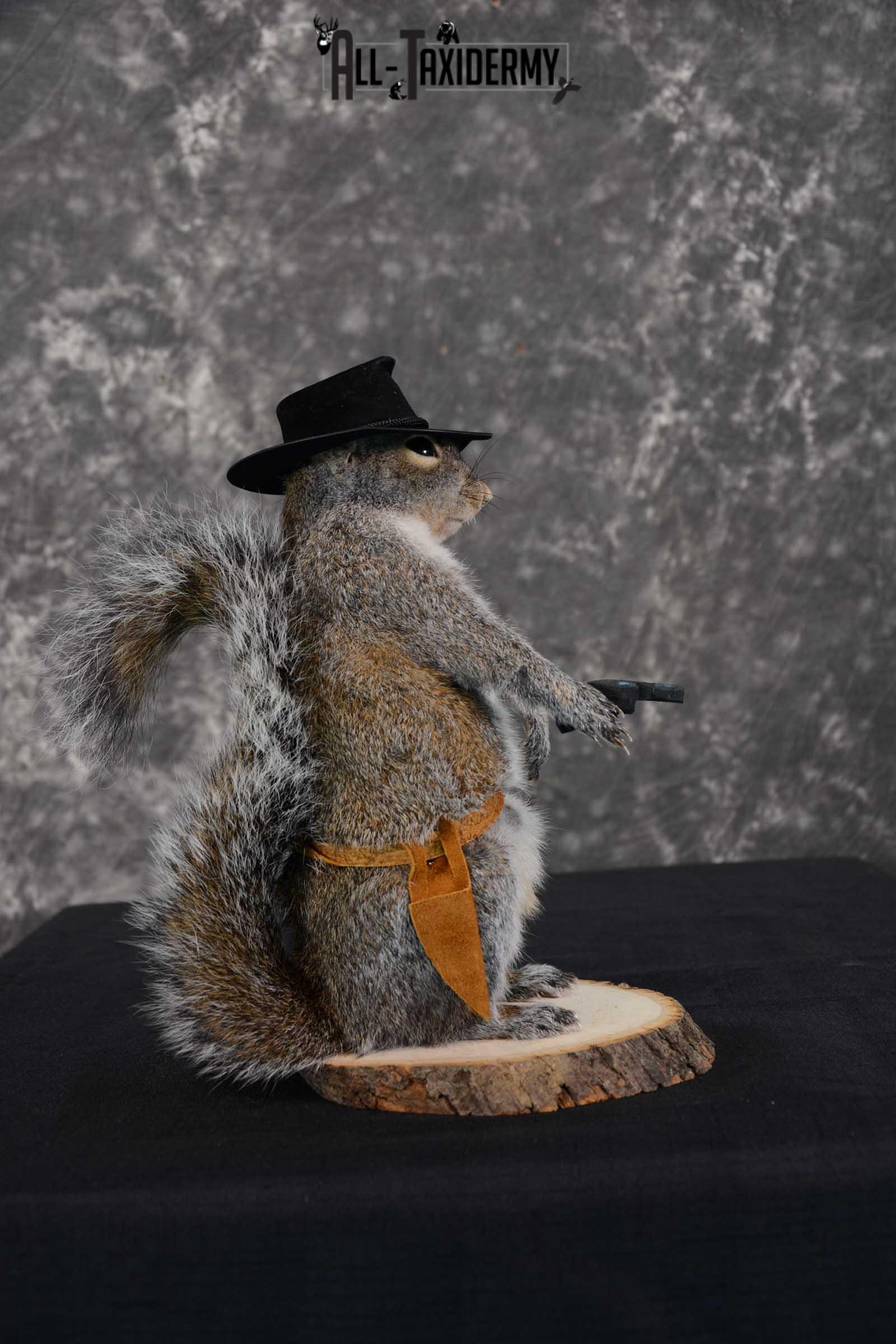Gray Squirrel taxidermy cowboy novelty for sale SKU 1633 - Image 2