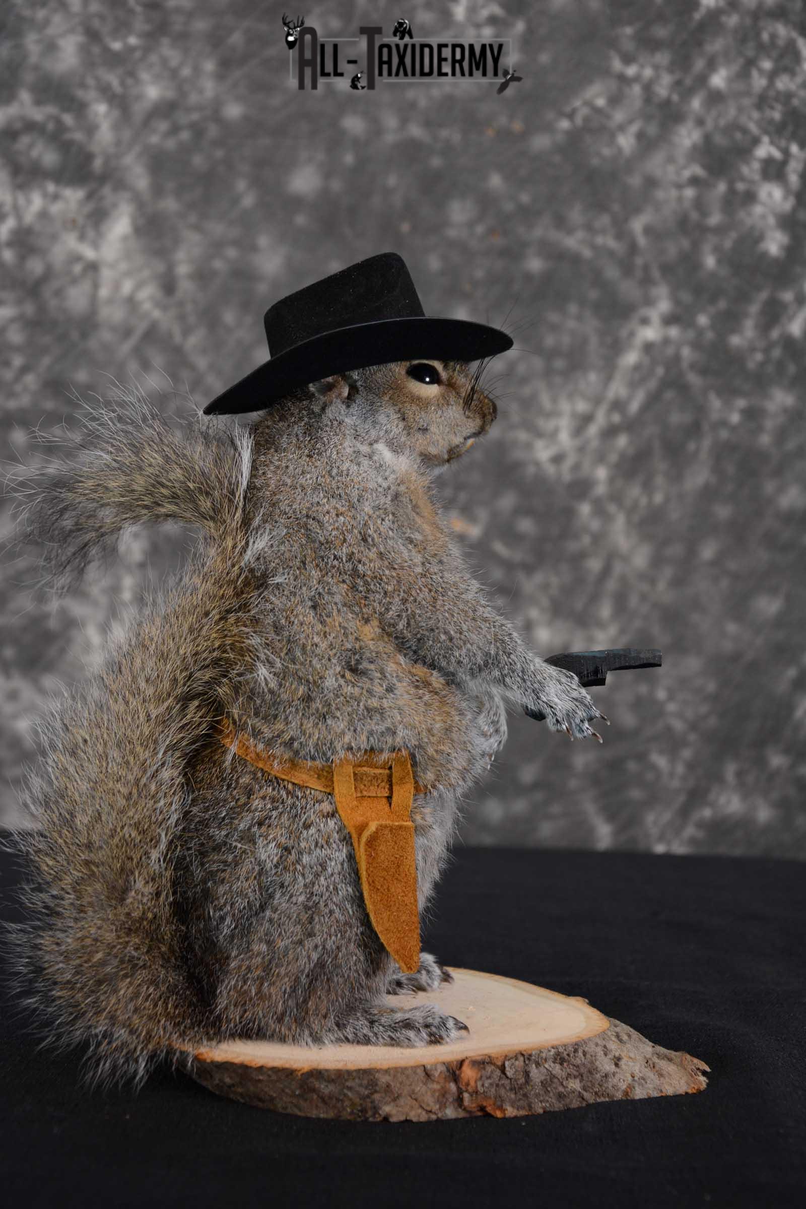 Gray Squirrel taxidermy cowboy novelty for sale SKU 1634 - Image 2