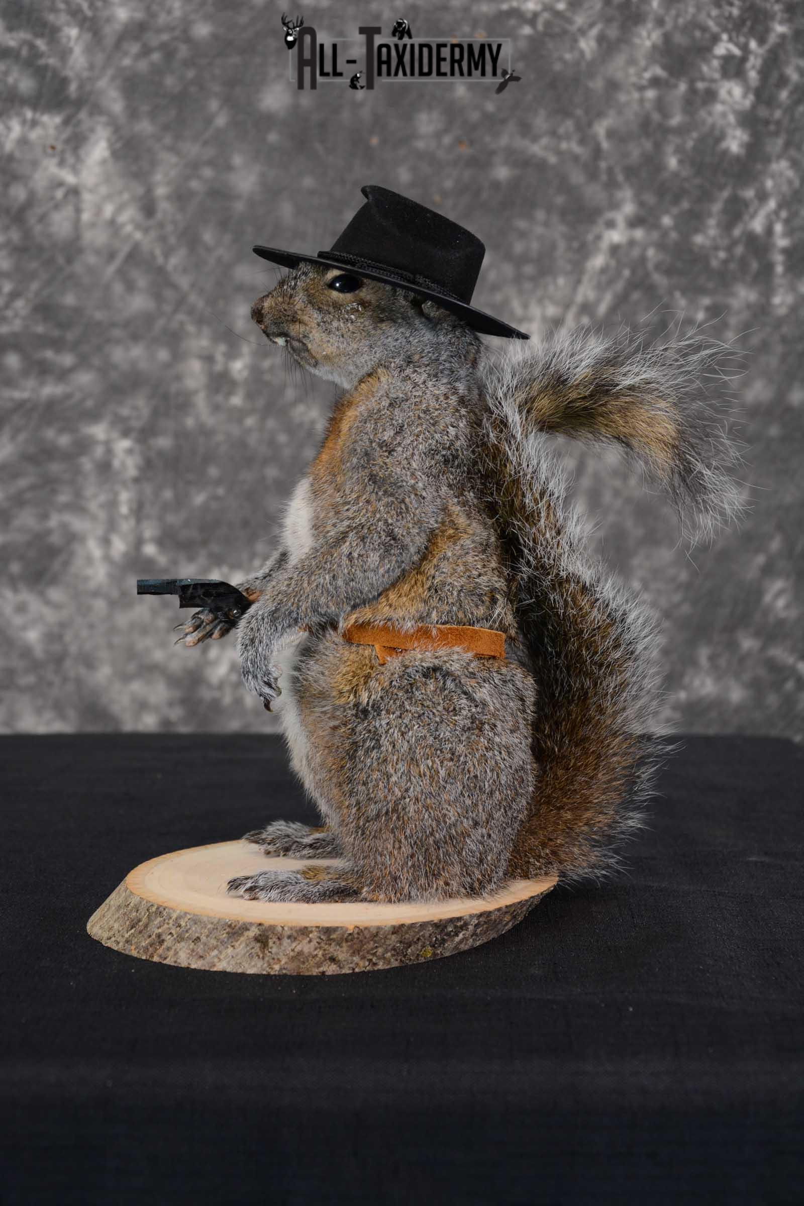 Gray Squirrel taxidermy cowboy novelty for sale SKU 1635 - Image 3