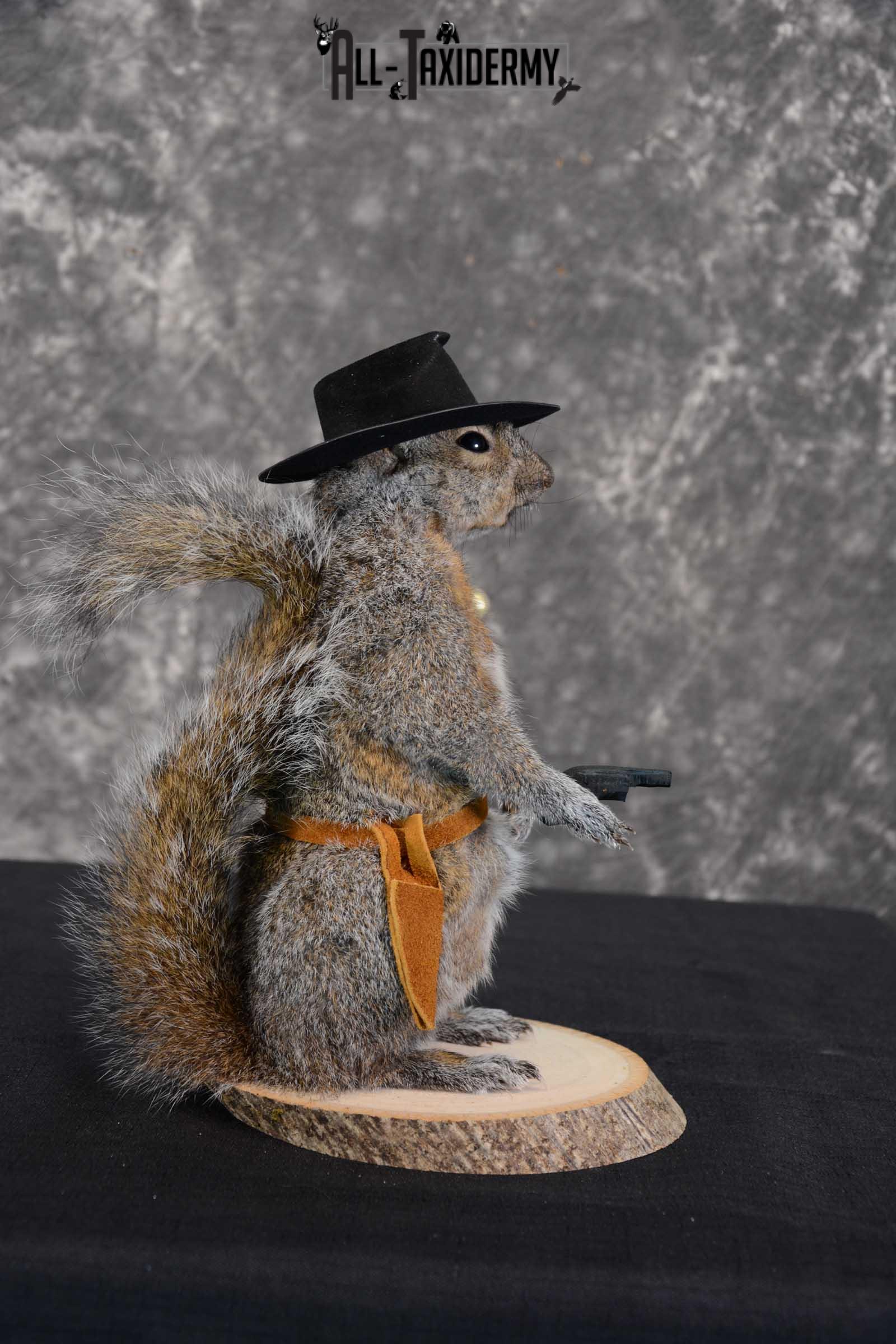 Gray Squirrel taxidermy cowboy novelty for sale SKU 1635 - Image 2