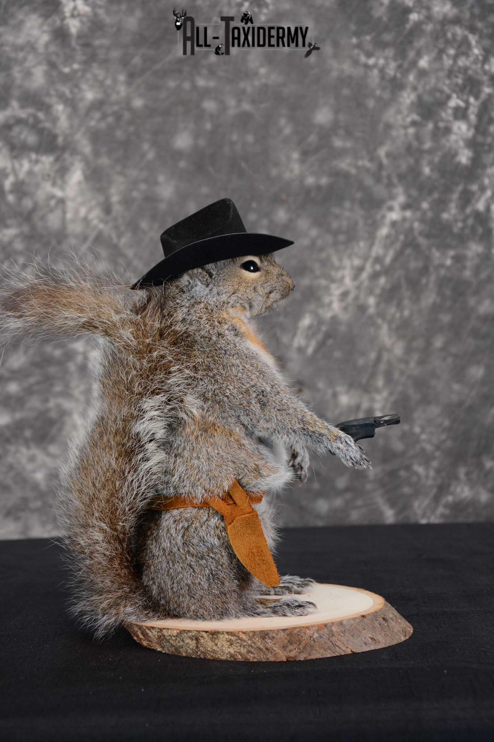 Gray Squirrel taxidermy cowboy novelty for sale SKU 1636 - Image 2
