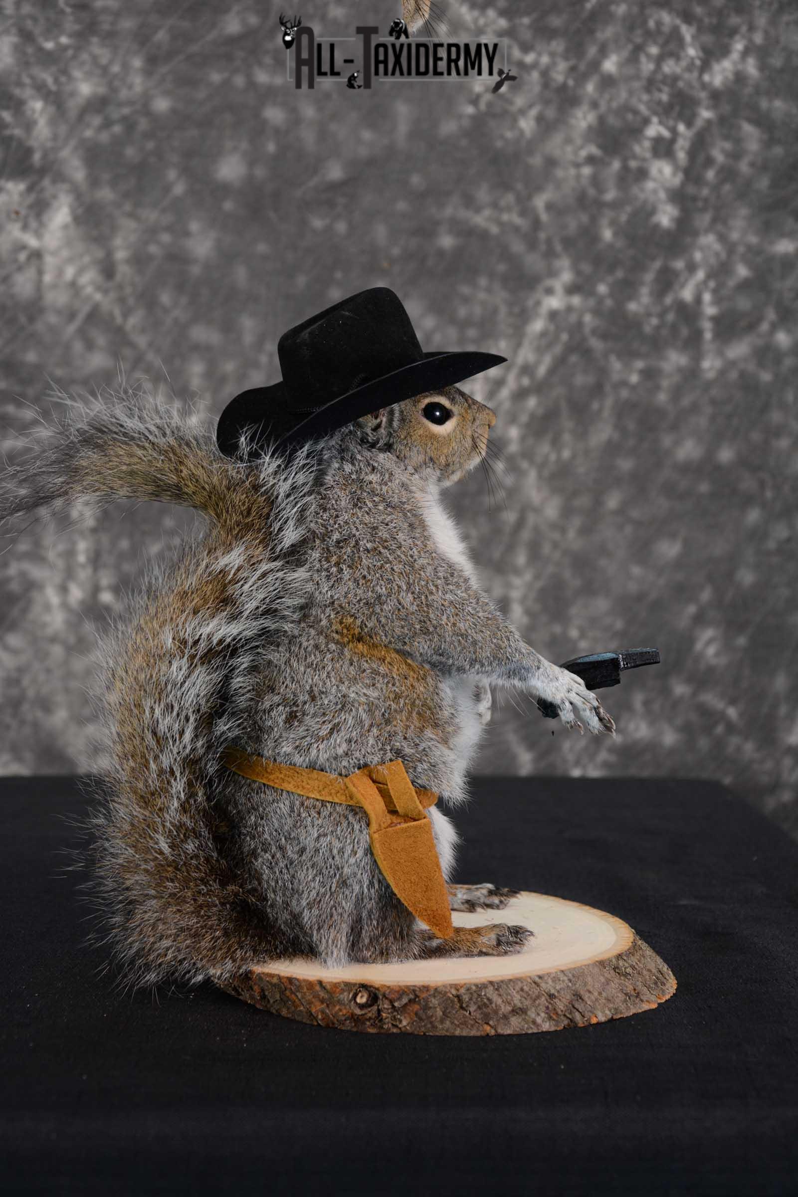 Gray Squirrel taxidermy cowboy novelty for sale SKU 1637 - Image 3