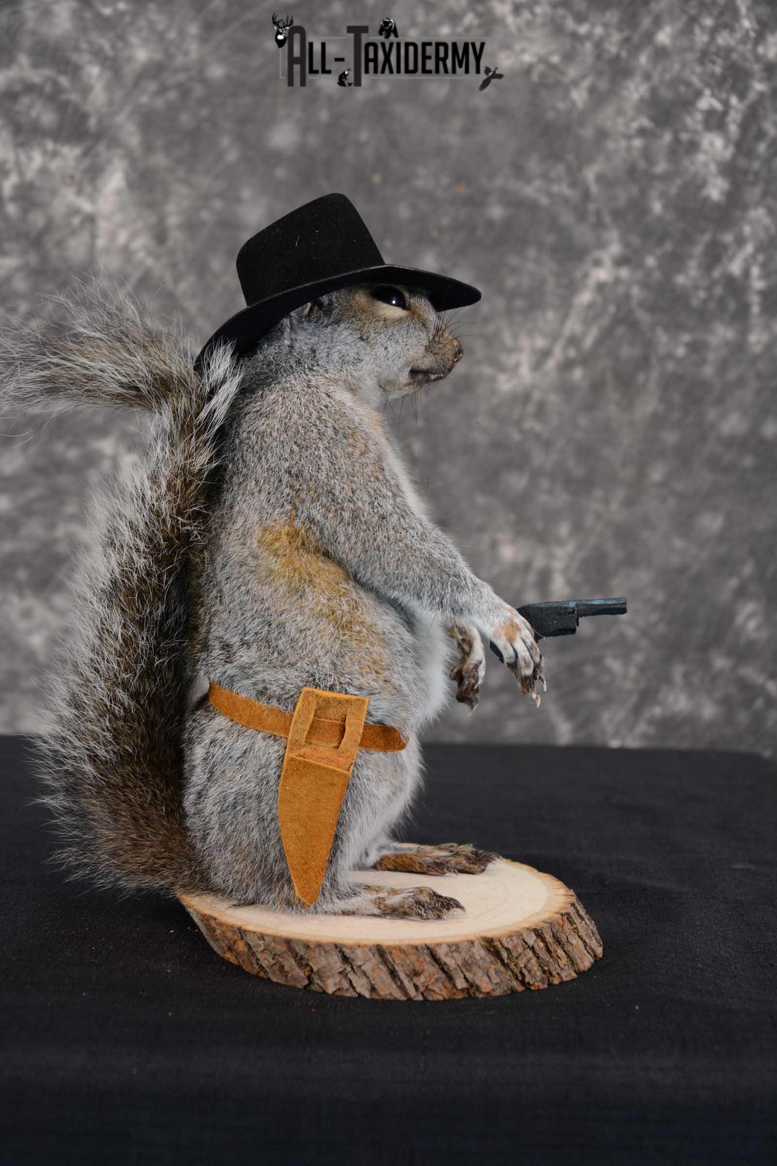 Gray Squirrel taxidermy cowboy novelty for sale SKU 1638 - Image 2