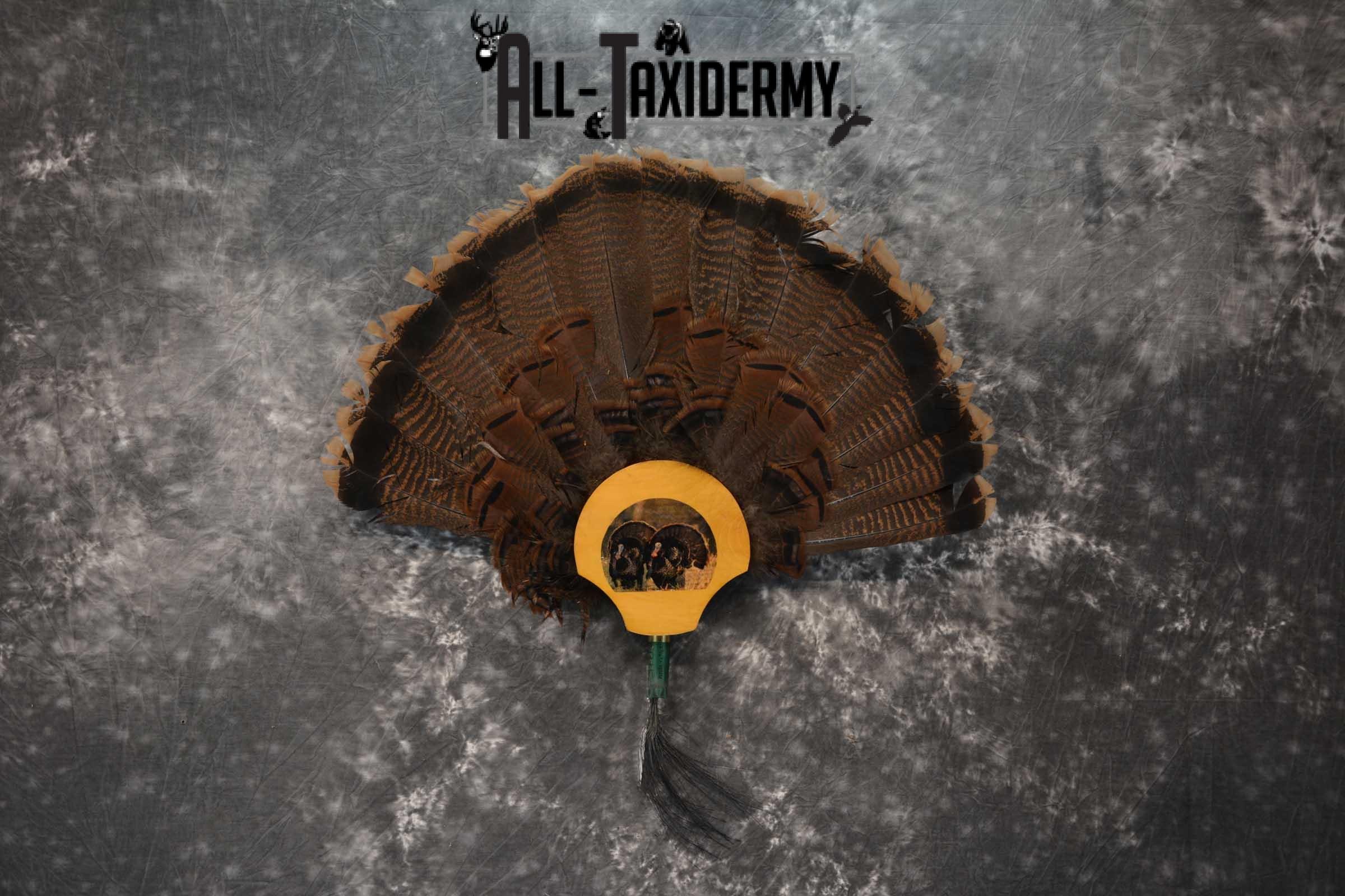 Eastern Turkey Fan SKU 1711