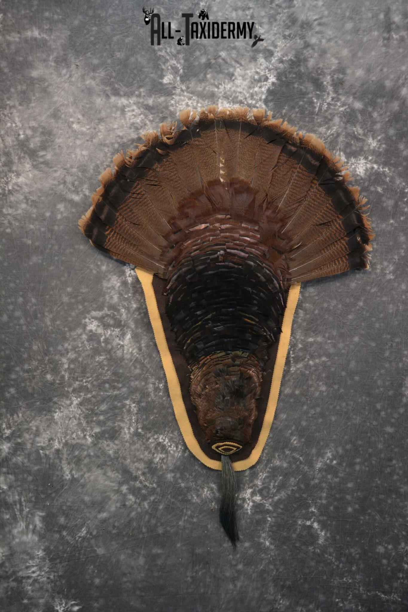 Turkey Rug Mount Turkey Taxidermy Mounts - All Taxidermy