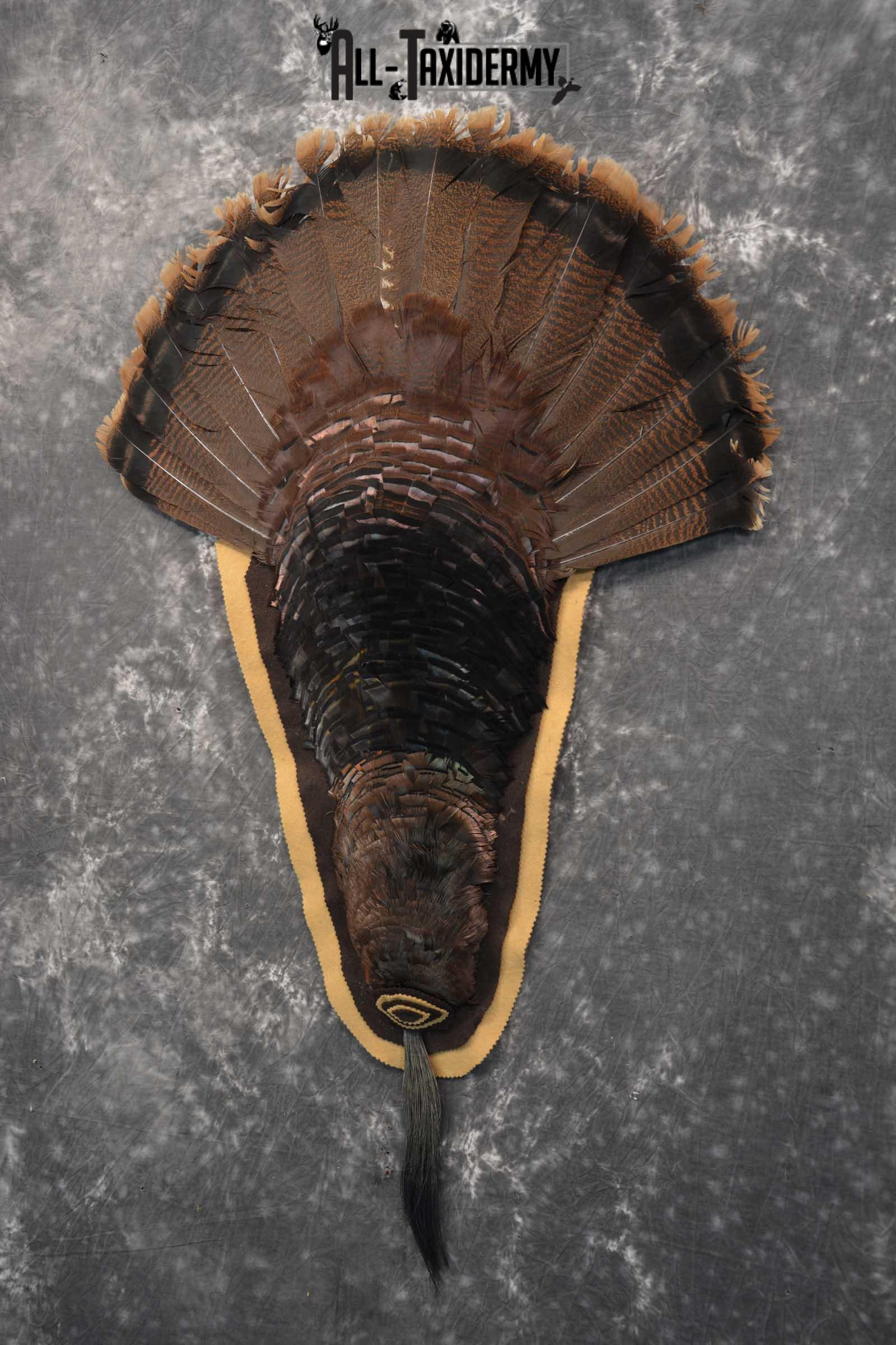 Eastern Turkey Rug SKU 1714 - Image 2